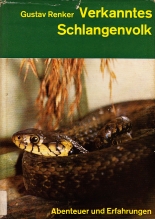 Cover: Verkanntes Schlangenvolk 2427
